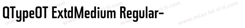 QTypeOT ExtdMedium Regular字体转换